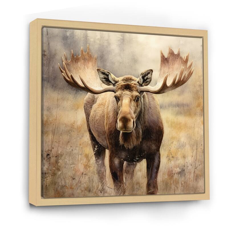 Designart "Moose Serenity I" Moose Framed Canvas Print Bed Bath